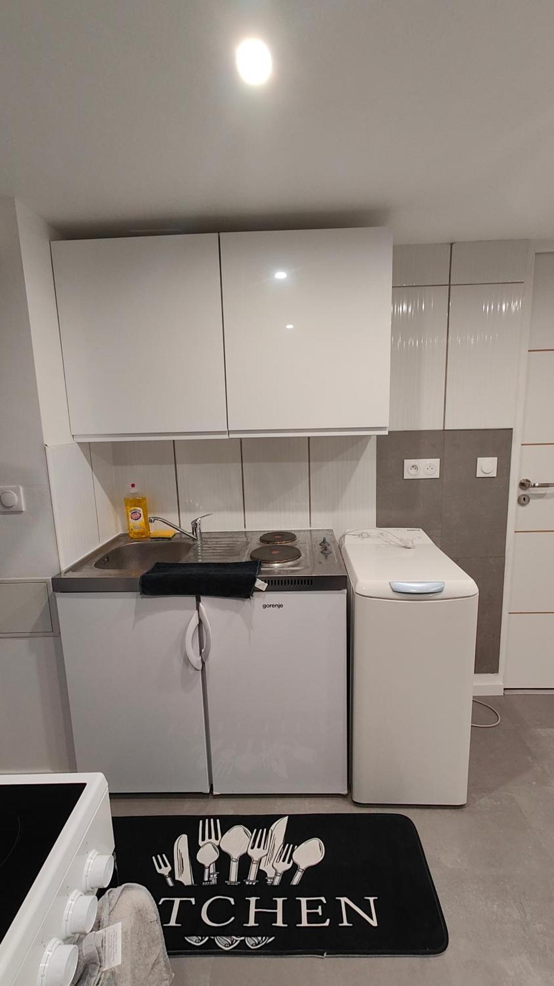 Bel Appartement F2 Entierement Renove セレスタ エクステリア 写真