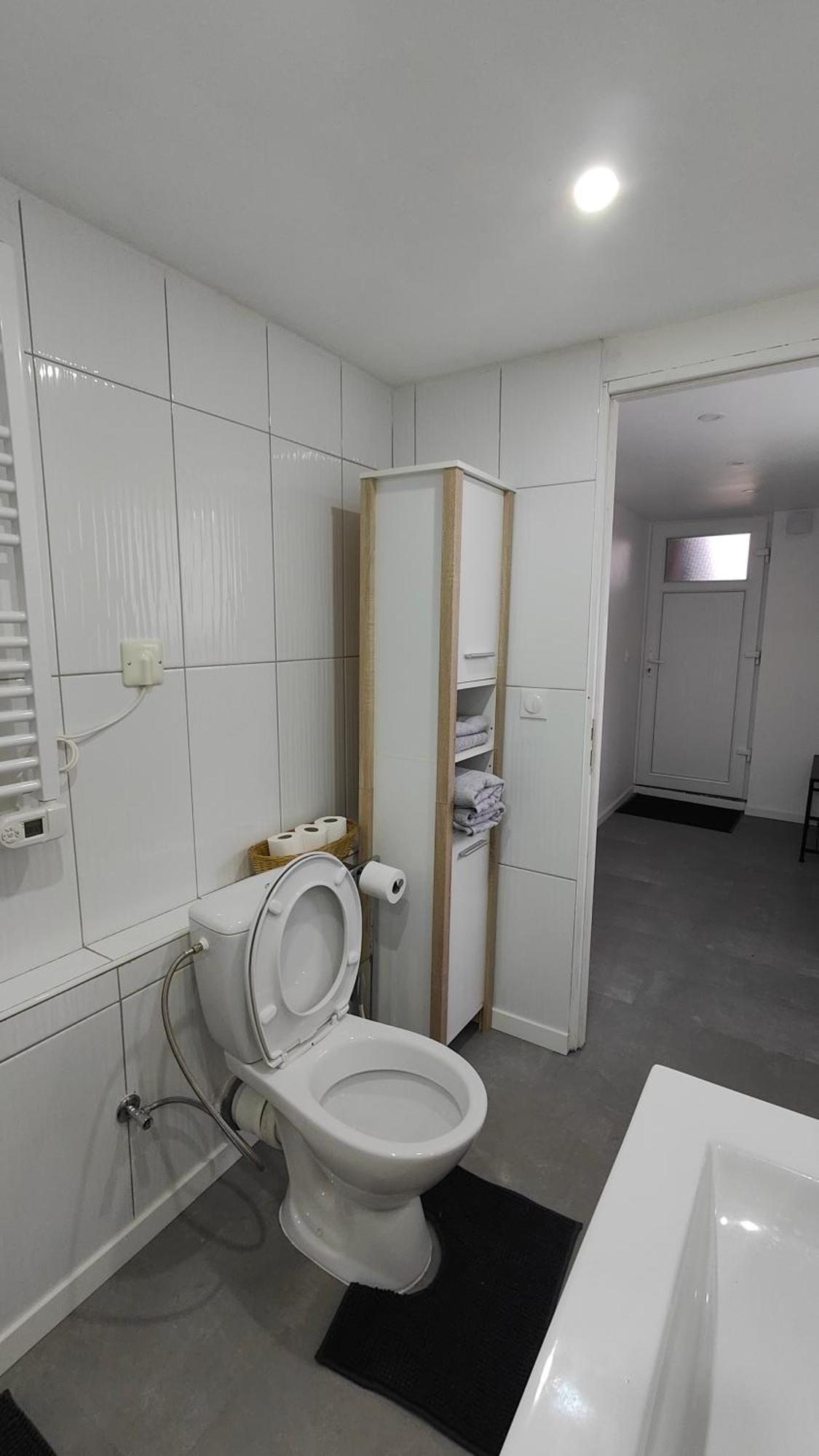 Bel Appartement F2 Entierement Renove セレスタ エクステリア 写真