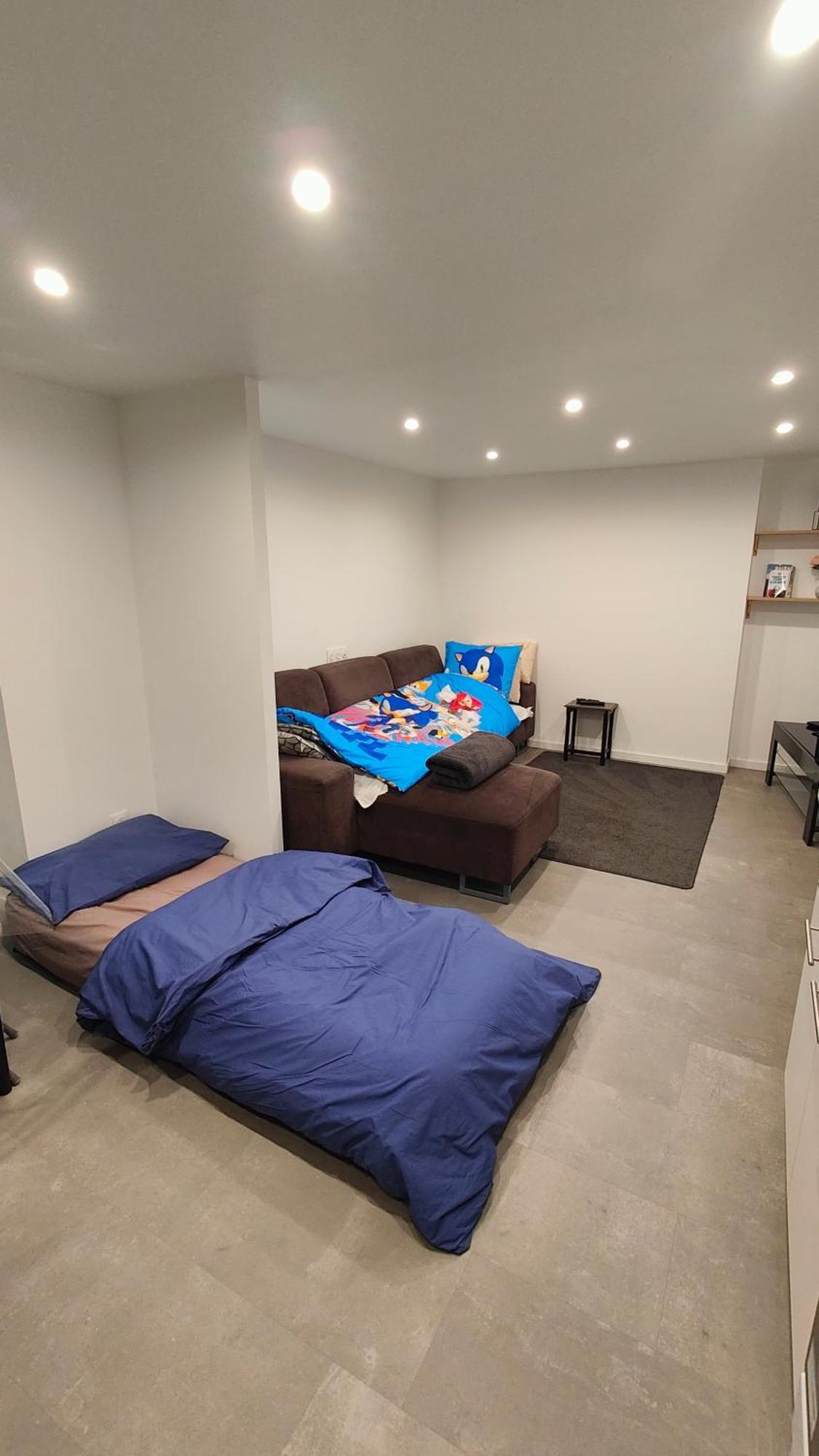 Bel Appartement F2 Entierement Renove セレスタ エクステリア 写真